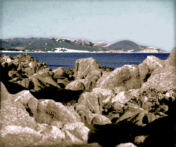 n_15  Chia von Insel 'Krake'.jpg